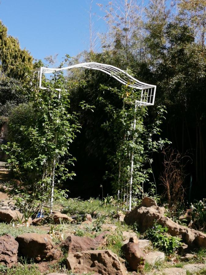Lucolo Palace B&B Aliwal North Ngoại thất bức ảnh