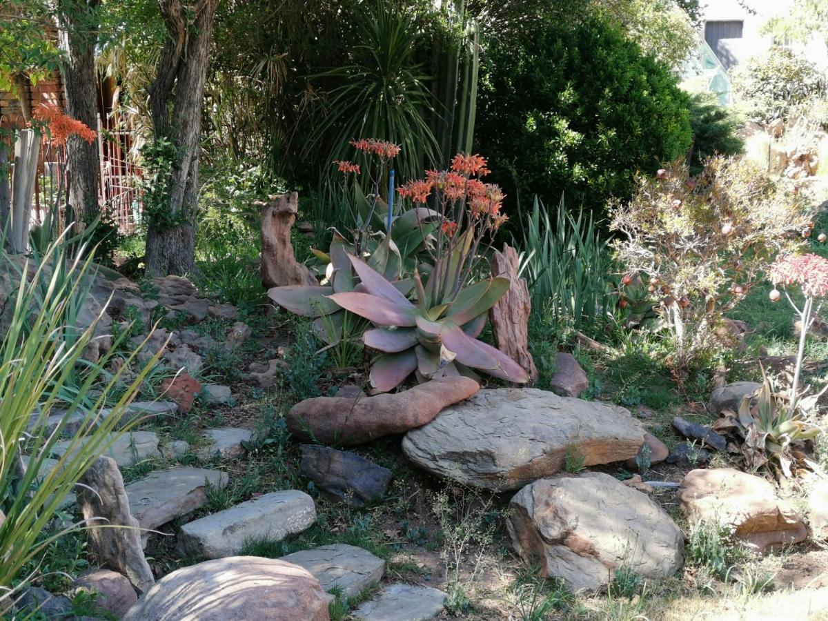 Lucolo Palace B&B Aliwal North Ngoại thất bức ảnh